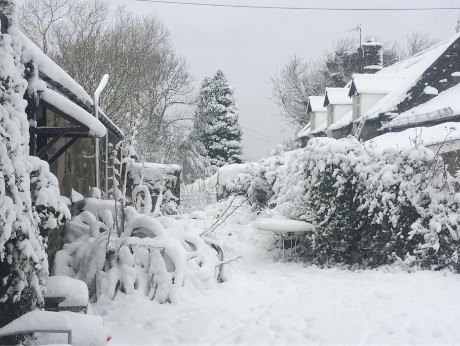 Villa Y Cwtch - Panoramic Mountain Views Within Snowdonia'S National Park - 4X4 Recommended à Dolgellau Extérieur photo