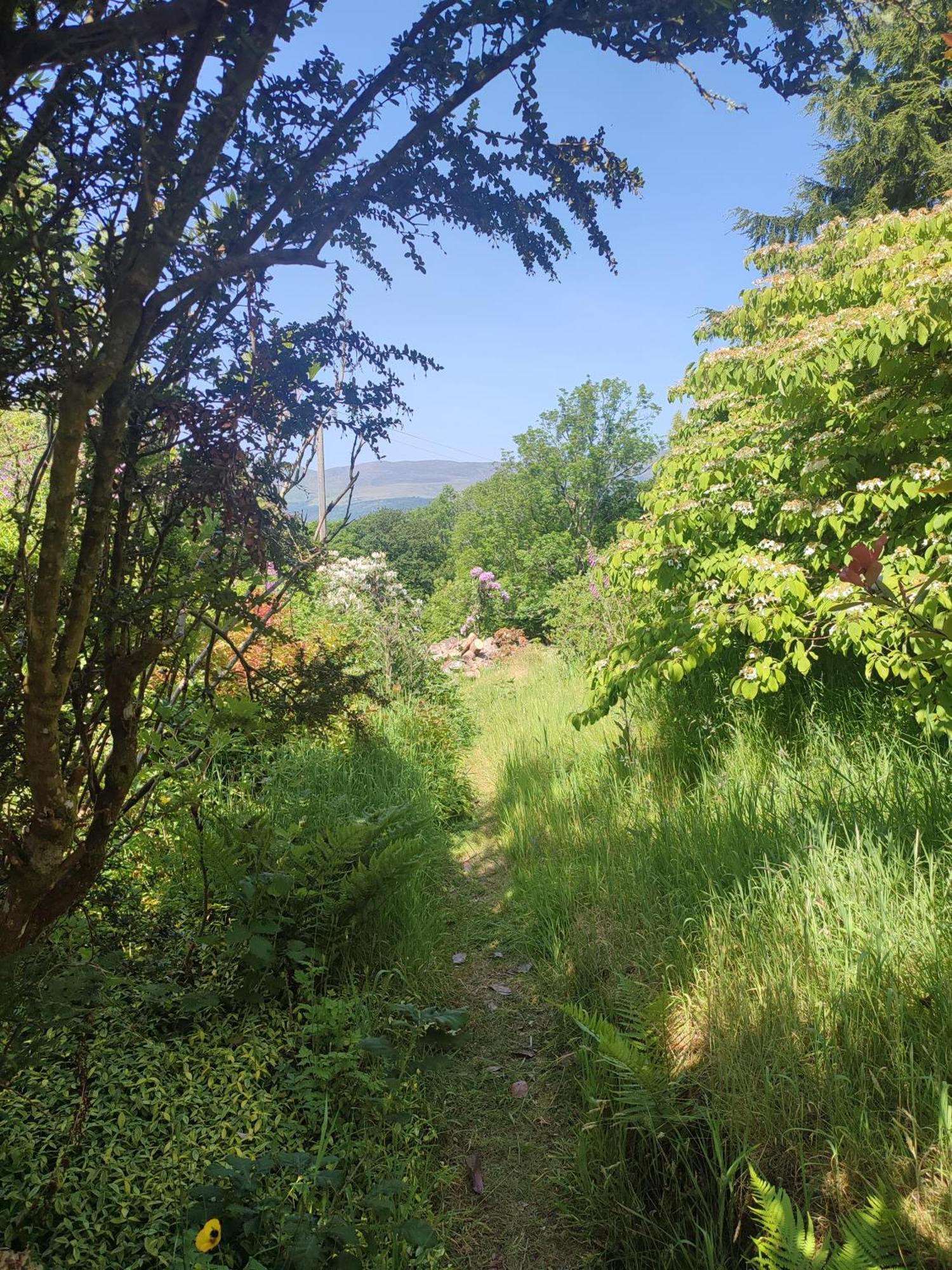 Villa Y Cwtch - Panoramic Mountain Views Within Snowdonia'S National Park - 4X4 Recommended à Dolgellau Extérieur photo