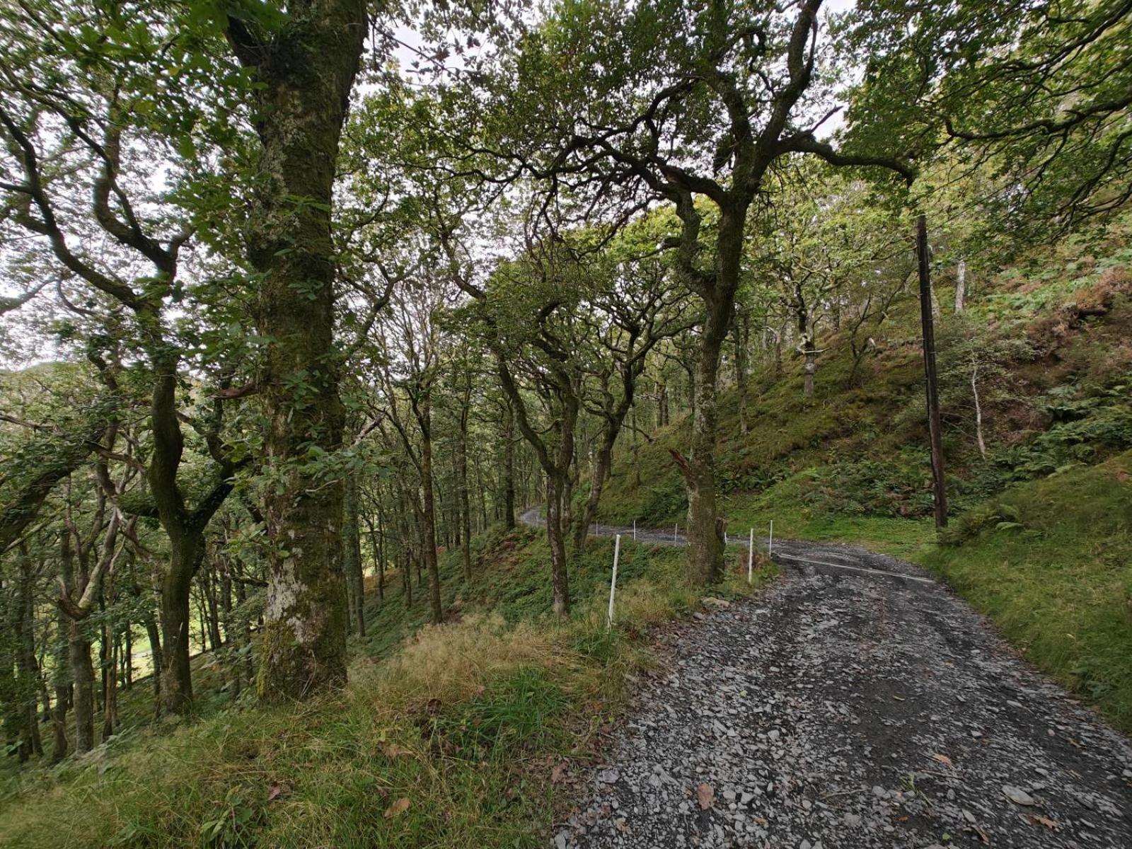 Villa Y Cwtch - Panoramic Mountain Views Within Snowdonia'S National Park - 4X4 Recommended à Dolgellau Extérieur photo